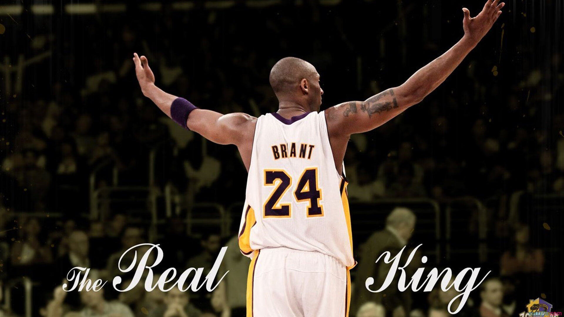 开云官方-“每一圈都燃烧:激情与速度的极致演绎” 第2张 开云官方-“每一圈都燃烧:激情与速度的极致演绎” 第2张