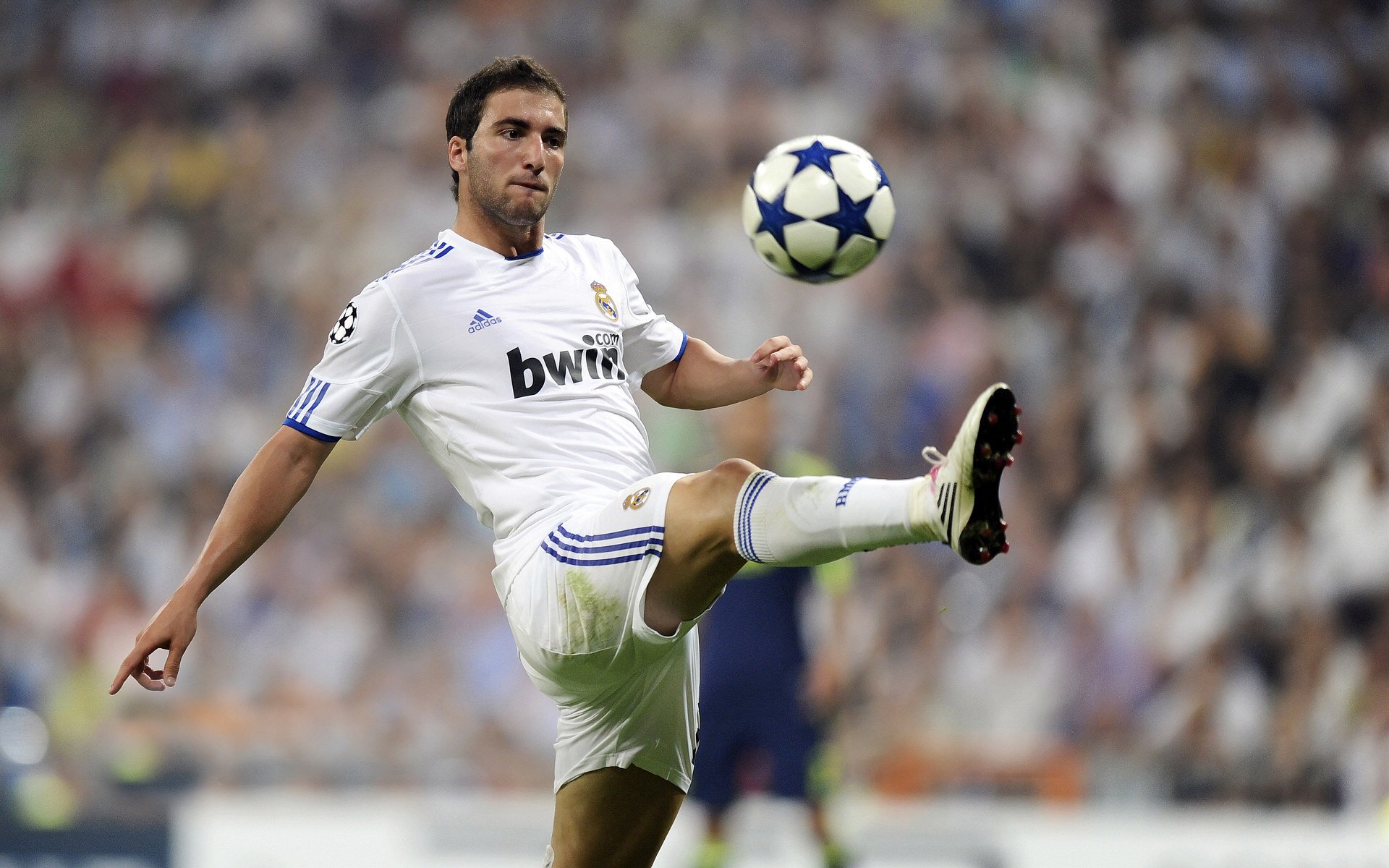 开云·Kaiyun网页版-《粉丝互动：线上线下粉丝盛会精彩纷呈》，粉丝线下活动策划