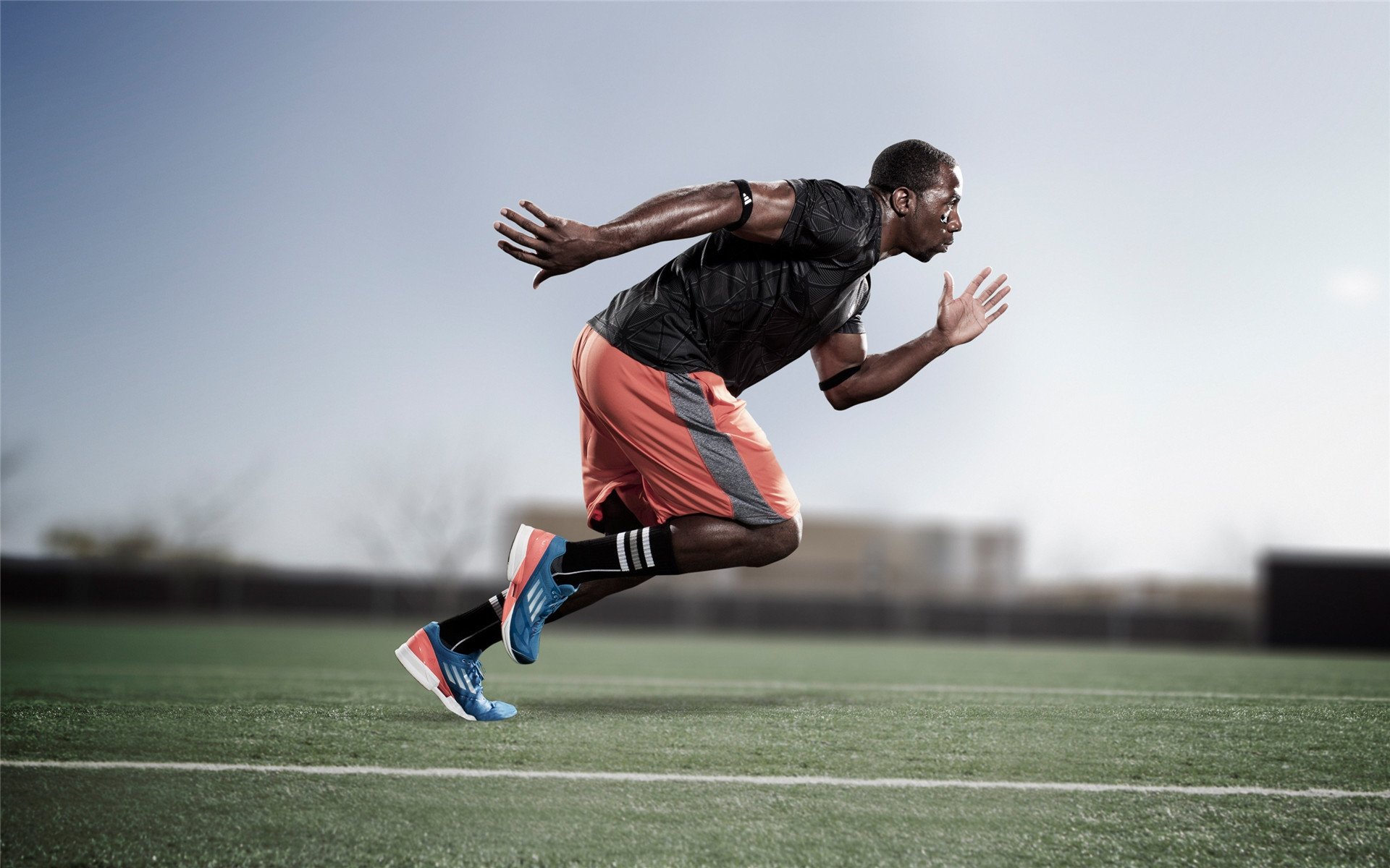 Palmer决赛冷静表现彰显大赛经验